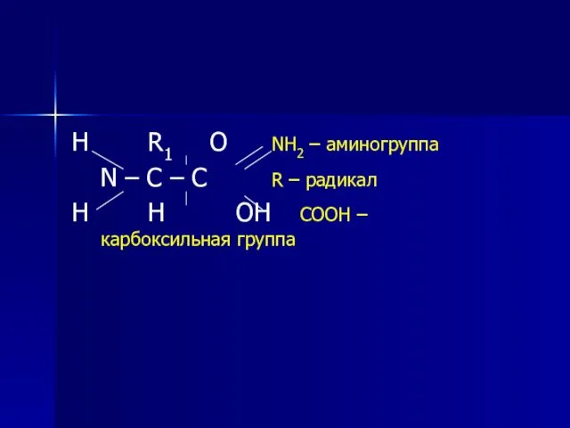 H R1 O NH2 – аминогруппа N – C – C