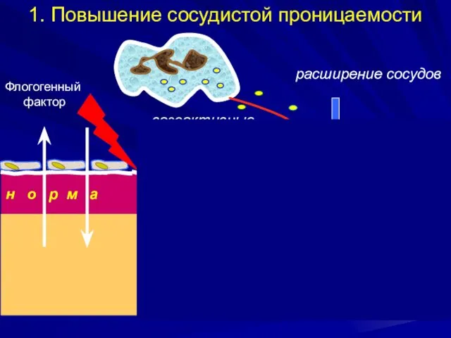 расширение сосудов о ч а г в о с п а