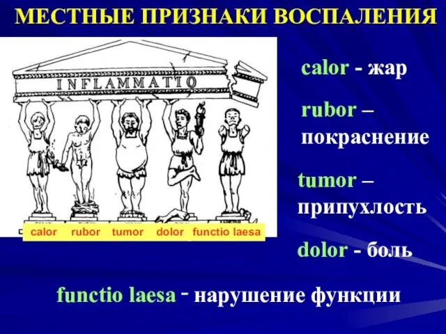 МЕСТНЫЕ ПРИЗНАКИ ВОСПАЛЕНИЯ rubor – покраснение calor - жар tumor –