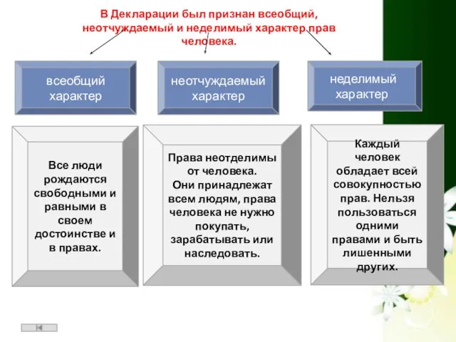 В Декларации был признан всеобщий, неотчуждаемый и неделимый характер прав человека.