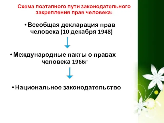 Схема поэтапного пути законодательного закрепления прав человека: Всеобщая декларация прав человека