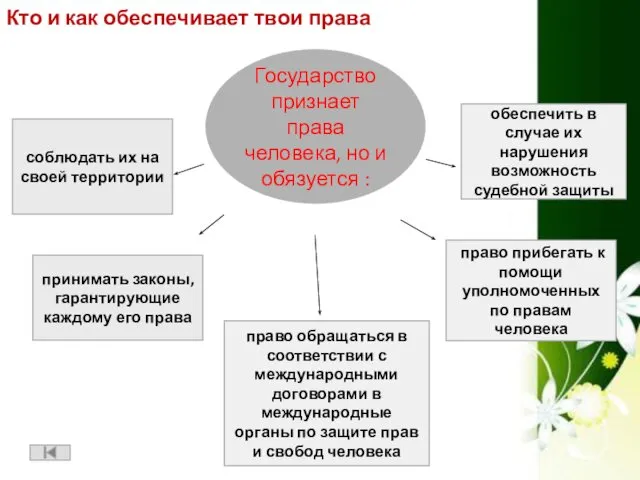 Кто и как обеспечивает твои права соблюдать их на своей территории