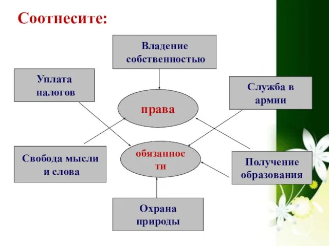 Соотнесите: права обязанности Уплата налогов Служба в армии Охрана природы Получение