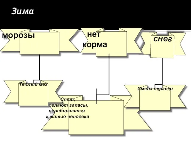 Зима морозы снег снег нет корма морозы Спят, делают запасы, перебираются