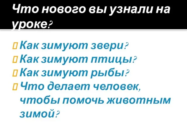 Что нового вы узнали на уроке? Как зимуют звери? Как зимуют