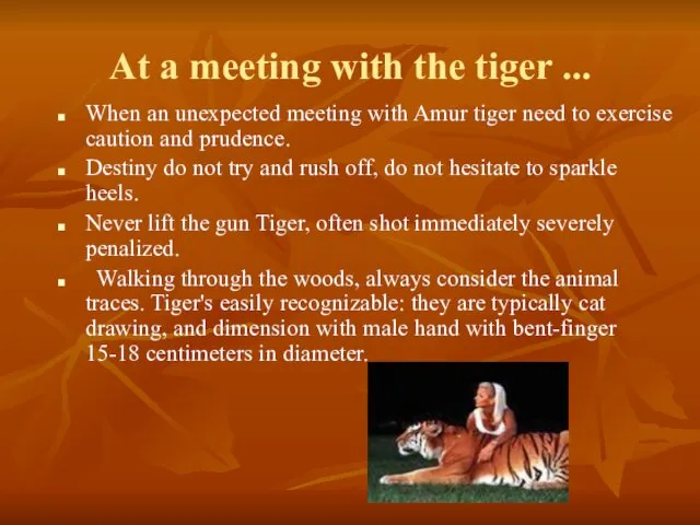 At a meeting with the tiger ... When an unexpected meeting