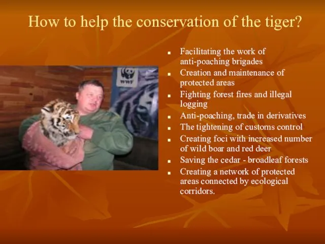 How to help the conservation of the tiger? Facilitating the work