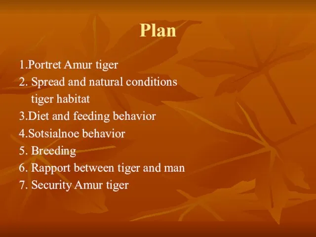 Plan 1.Portret Amur tiger 2. Spread and natural conditions tiger habitat