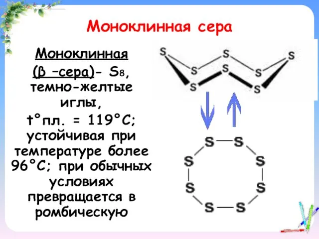 Моноклинная сера Моноклинная (β –сера)- S8, темно-желтые иглы, t°пл. = 119°C;