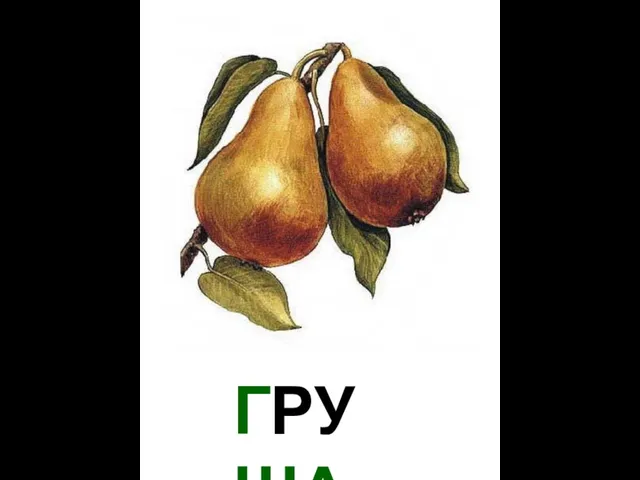 ГРУША