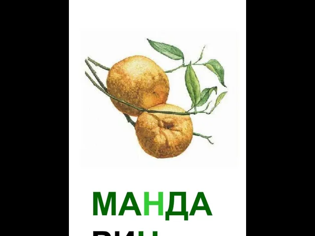 МАНДАРИН