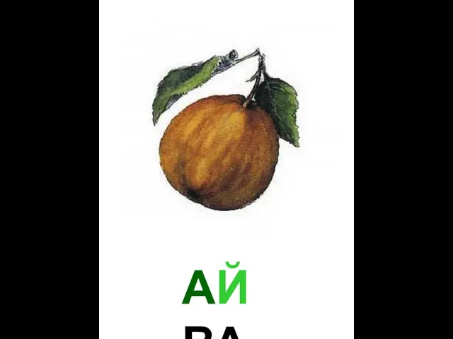 АЙВА