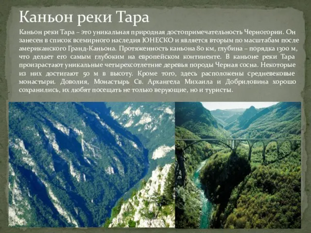 Каньон реки Тара Каньон реки Тара – это уникальная природная достопримечательность