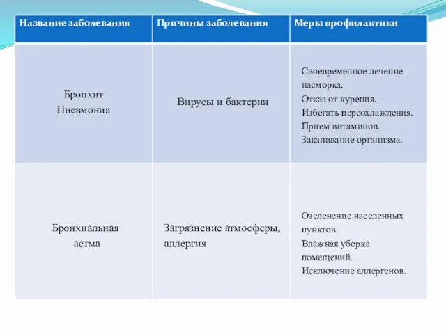 Бронхит Пневмония Вирусы и бактерии Своевременное лечение насморка. Отказ от курения.