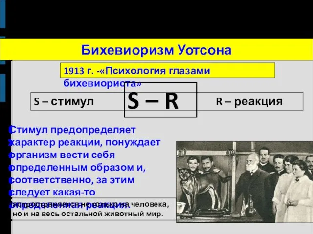 Бихевиоризм Уотсона 1913 г. -«Психология глазами бихевиориста» S – R S