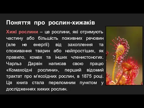 Поняття про рослин-хижаків Хижі рослини – це рослини, які отримують частину