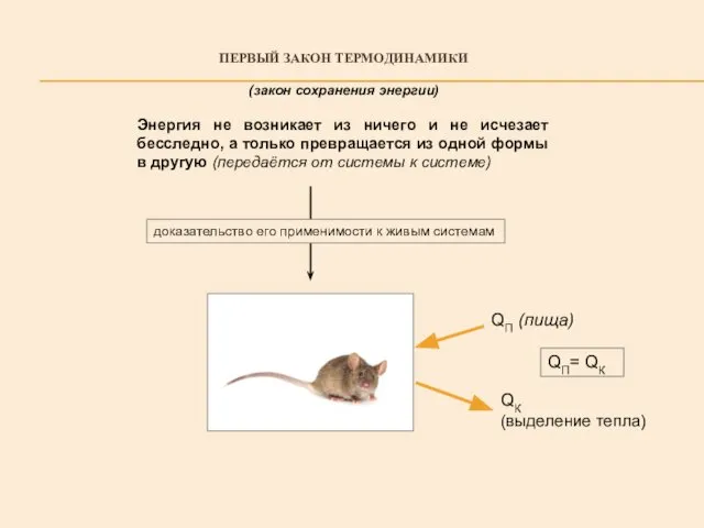 ПЕРВЫЙ ЗАКОН ТЕРМОДИНАМИКИ (закон сохранения энергии) Энергия не возникает из ничего