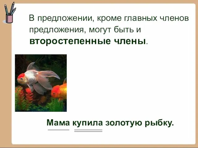 В предложении, кроме главных членов предложения, могут быть и второстепенные члены. Мама купила золотую рыбку.