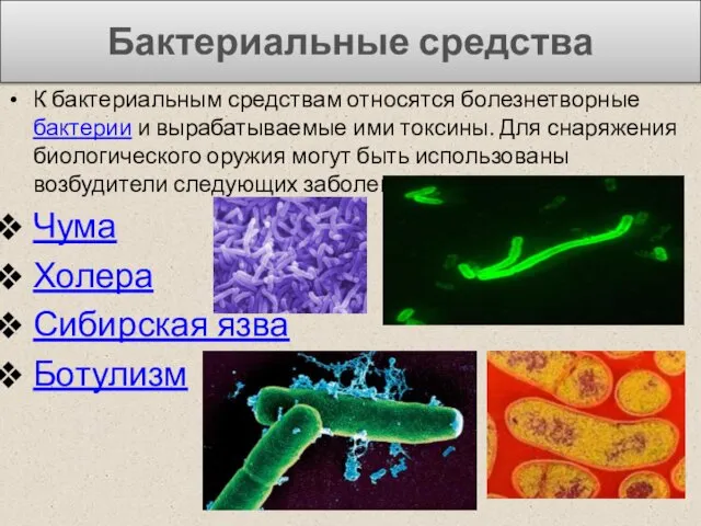 Бактериальные средства К бактериальным средствам относятся болезнетворные бактерии и вырабатываемые ими