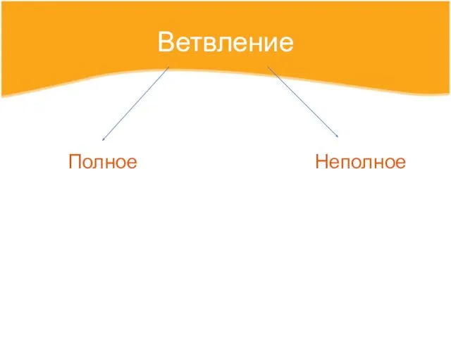 Ветвление Полное Неполное