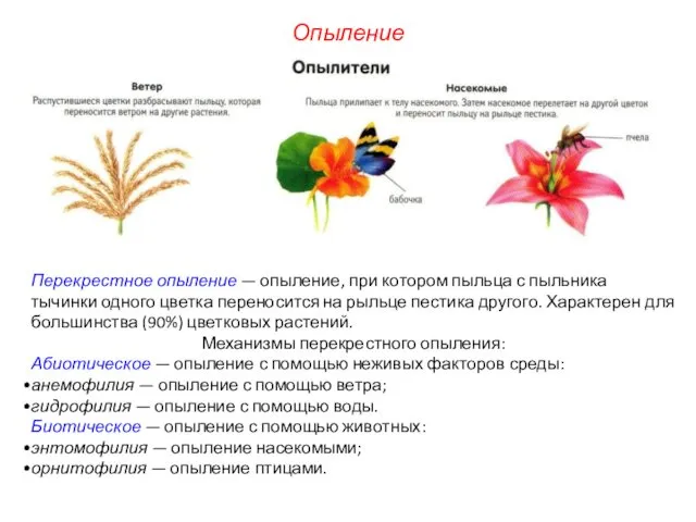 Перекрестное опыление — опыление, при котором пыльца с пыльника тычинки одного