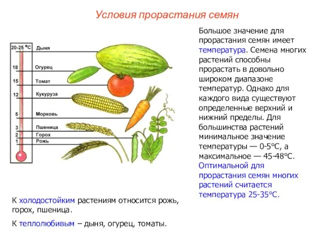 Большое значение для прорастания семян имеет температура. Семена многих растений способны