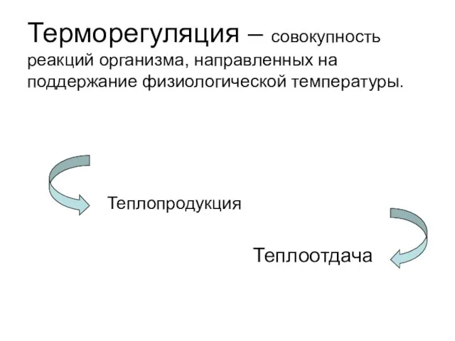 Терморегуляция – совокупность реакций организма, направленных на поддержание физиологической температуры. Теплопродукция Теплоотдача