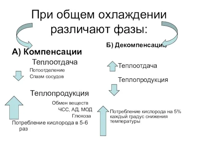 При общем охлаждении различают фазы: А) Компенсации Теплоотдача Потоотделение Спазм сосудов