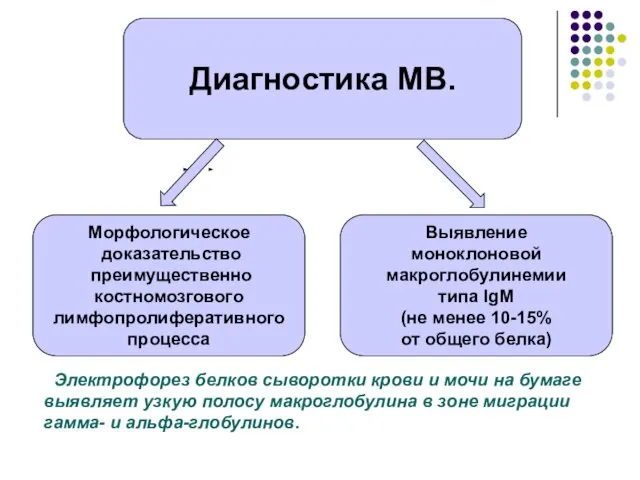 Морфологическое доказательство преимущественно костномозгового лимфопролиферативного процесса Выявление моноклоновой макроглобулинемии типа IgM