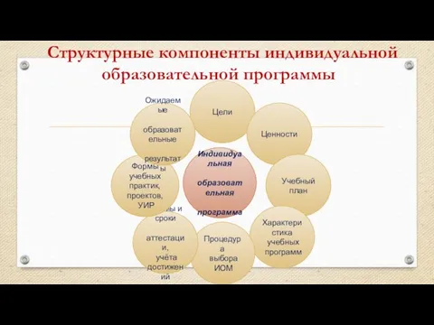 Структурные компоненты индивидуальной образовательной программы Индивидуальная образовательная программа Цели Ценности Учебный