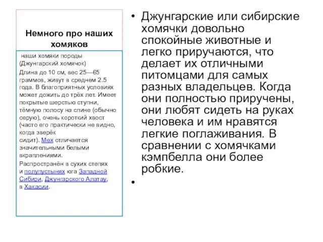 Немного про наших хомяков Джунгарские или сибирские хомячки довольно спокойные животные