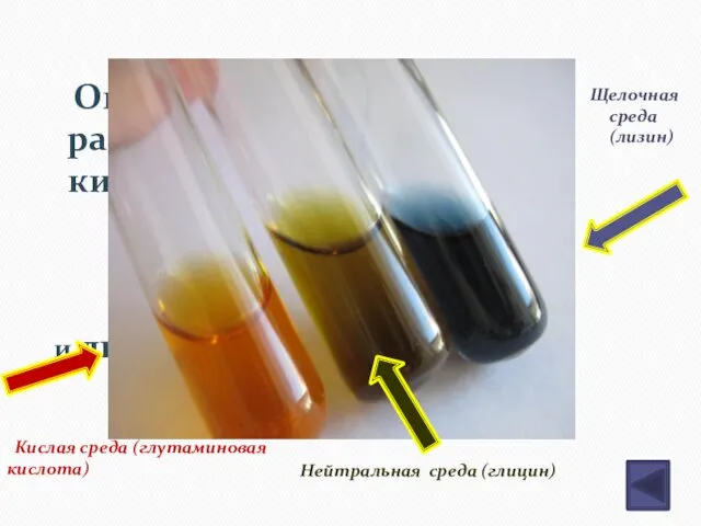 Определите реакцию раствора глутаминовой кислоты (HOOC-CH2-CH2-CH-COOH) NH2 и лизина (NH2-(CH2)4-CH-COOH) NH2