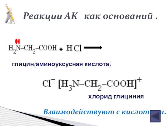 глицин(аминоуксусная кислота) хлорид глициния Реакции АК как оснований . Взаимодействуют с кислотами.