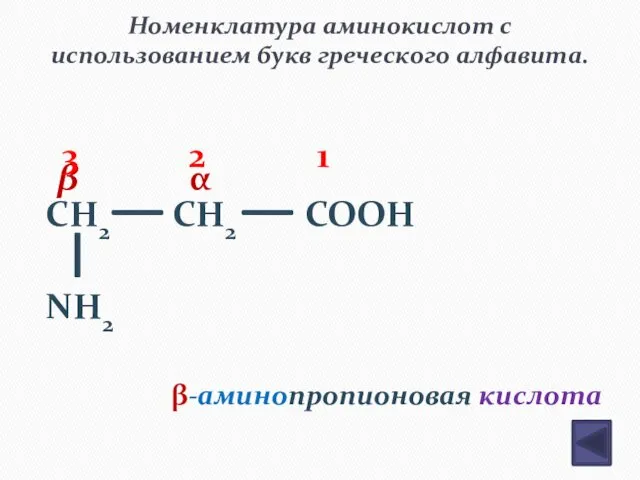 Номенклатура аминокислот с использованием букв греческого алфавита. CH2 CH2 COOH NH2
