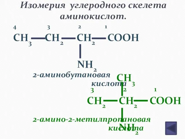 Изомерия углеродного скелета аминокислот. 4 3 2 1 CH3 CH2 CH2