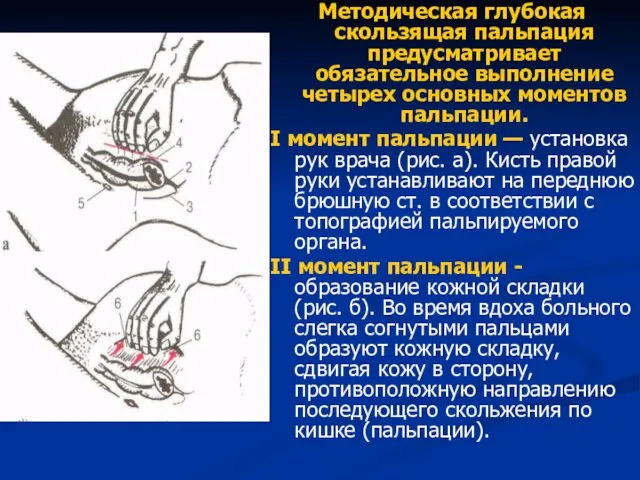 Методическая глубокая скользящая пальпация предусматривает обязательное выполнение четырех основных моментов пальпации.