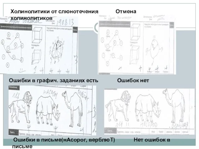 Ошибки в графич. заданиях есть Ошибок нет Ошибки в письме(нАсорог, верблюТ)