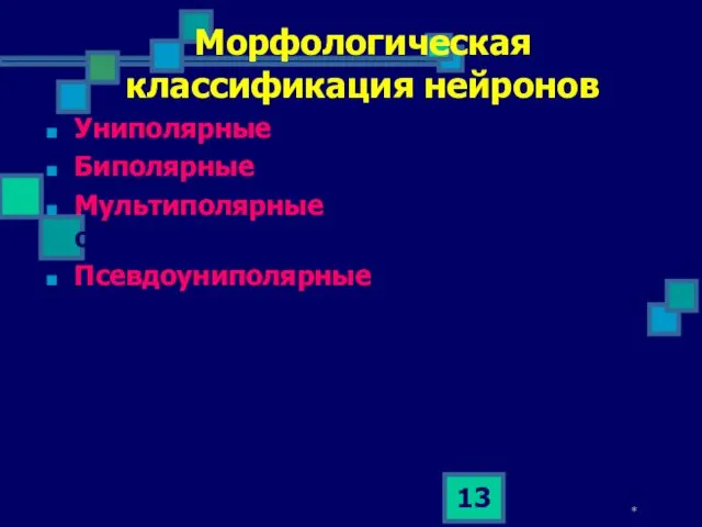 * Морфологическая классификация нейронов Униполярные (с одним отростком) Биполярные (с двумя