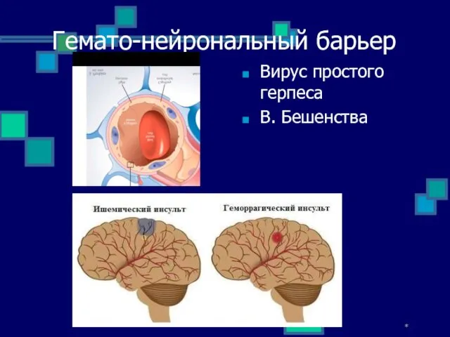 Гемато-нейрональный барьер Вирус простого герпеса В. Бешенства *