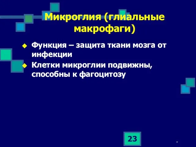 * Микроглия (глиальные макрофаги) Функция – защита ткани мозга от инфекции