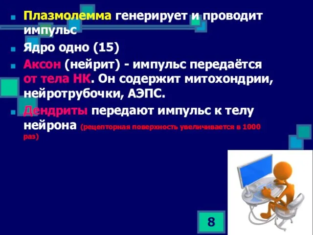 * Плазмолемма генерирует и проводит импульс Ядро одно (15) Аксон (нейрит)