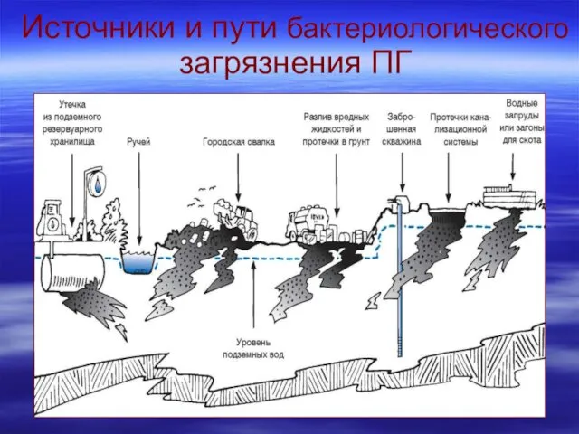 Источники и пути бактериологического загрязнения ПГ