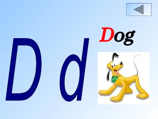 D d Dog