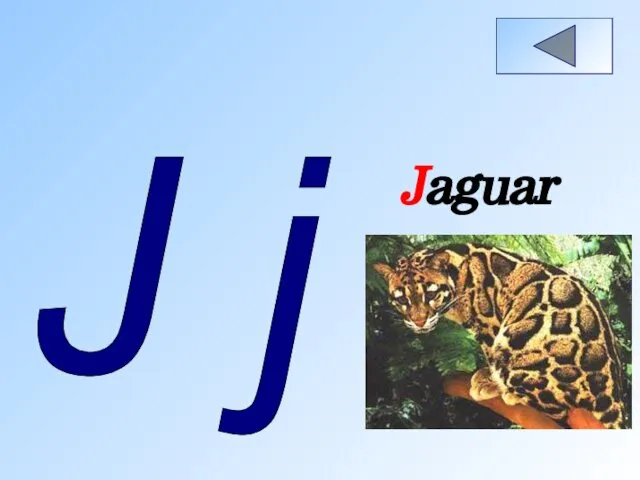 J j Jaguar