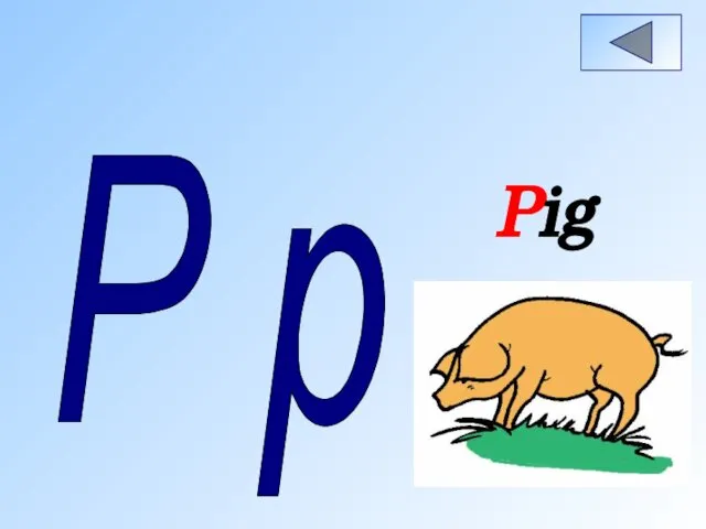 P p Pig