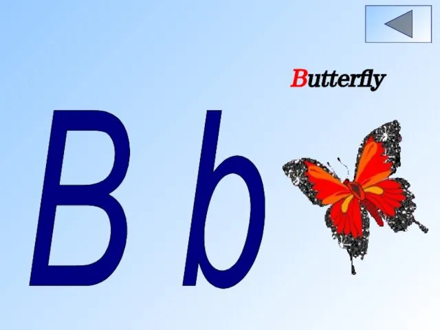 B b Butterfly