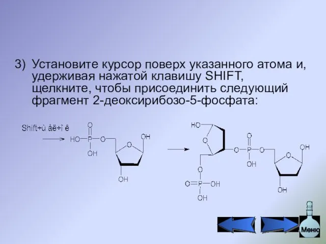 Установите курсор поверх указанного атома и, удерживая нажатой клавишу SHIFT, щелкните, чтобы присоединить следующий фрагмент 2-деоксирибозо-5-фосфата: