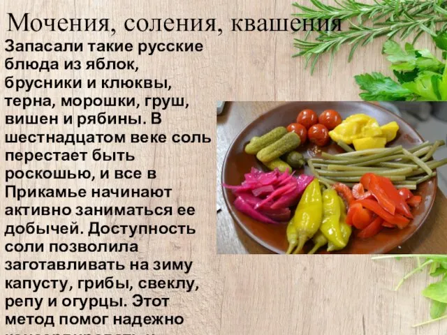 Мочения, соления, квашения Запасали такие русские блюда из яблок, брусники и
