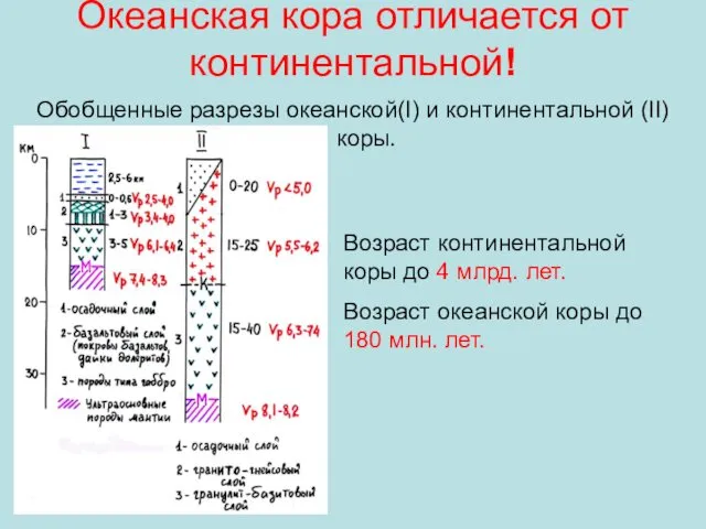 Океанская кора отличается от континентальной! Обобщенные разрезы океанской(I) и континентальной (II)