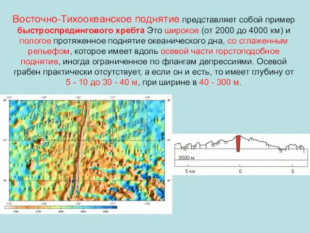 Восточно-Тихоокеанское поднятие представляет собой пример быстроспредингового хребта Это широкое (от 2000